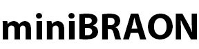 MiniBraon