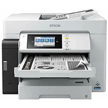 Printer ÇFQ Epson L15180